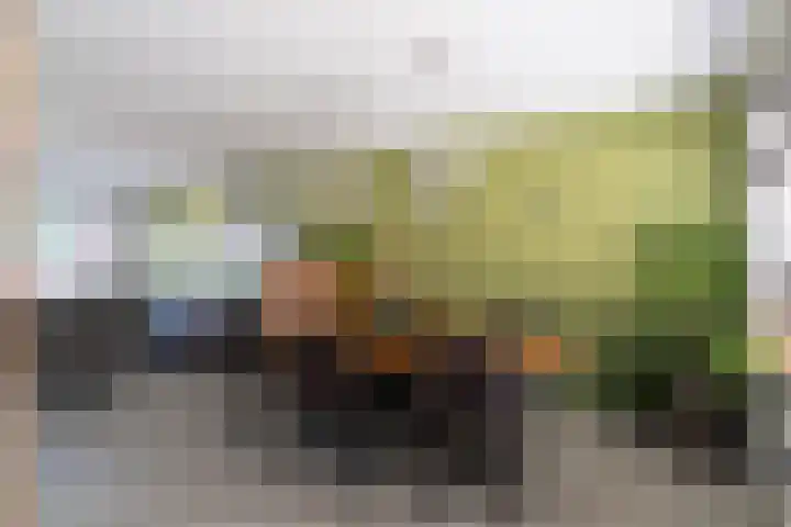 Havendries 140 Waspik thumbnail 15