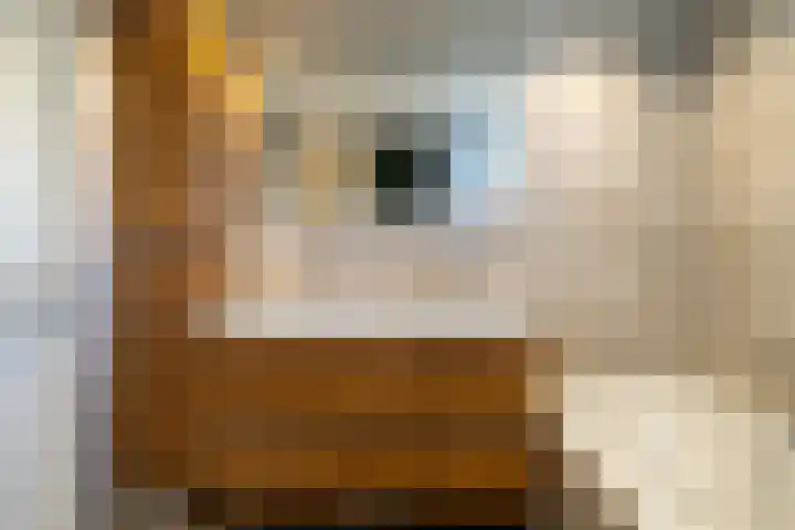 Havendries 140 Waspik thumbnail 27