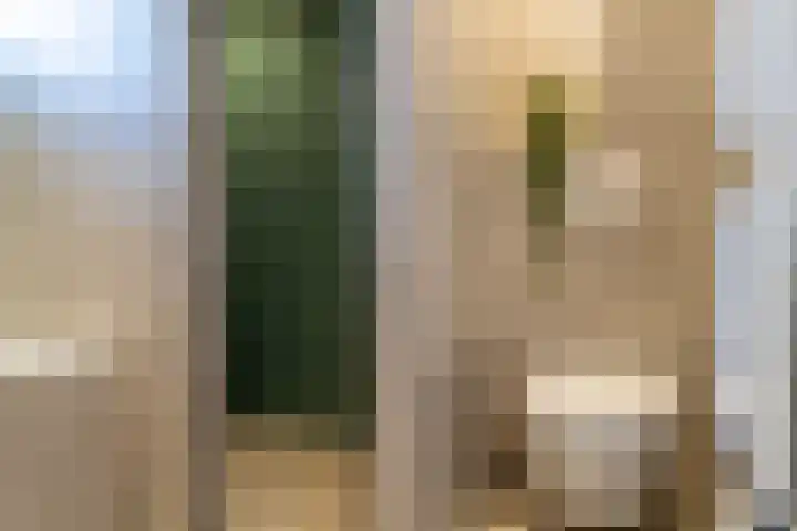Havendries 140 Waspik thumbnail 29