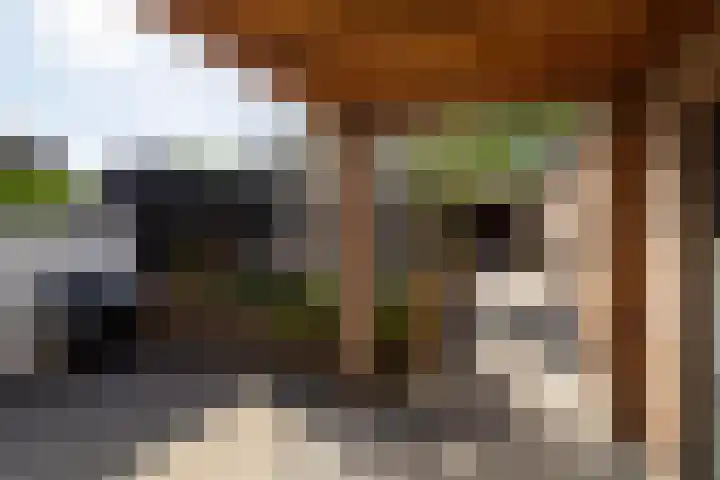 Havendries 140 Waspik thumbnail 37