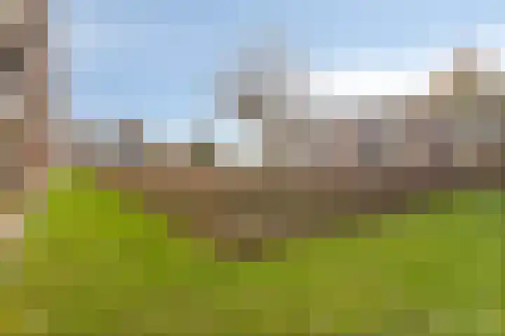Havenhoofd 112 Almere thumbnail 37