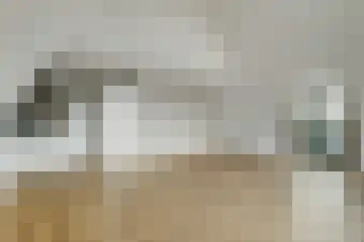 Havenhoofd 30 Oudenbosch thumbnail 10