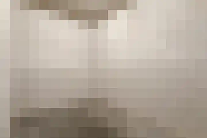 Havenhoofd 30 Oudenbosch thumbnail 7
