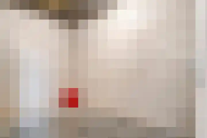 Havenhoofd 32 Oudenbosch thumbnail 32