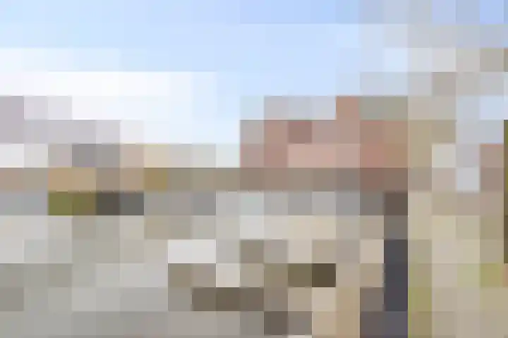 Havenhoofd 32 Oudenbosch thumbnail 34