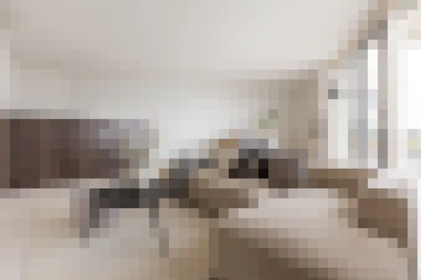 Havenhoofd 9 Gouderak thumbnail 9
