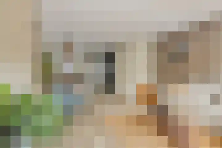 Havenkade 25 Middelharnis thumbnail 11
