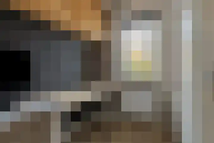 Havenkade 25 Middelharnis thumbnail 21