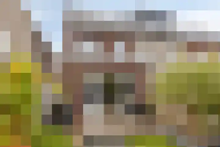 Havenkade 25 Middelharnis thumbnail 29