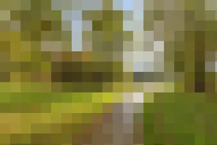 Havenkade 25 Middelharnis thumbnail 34