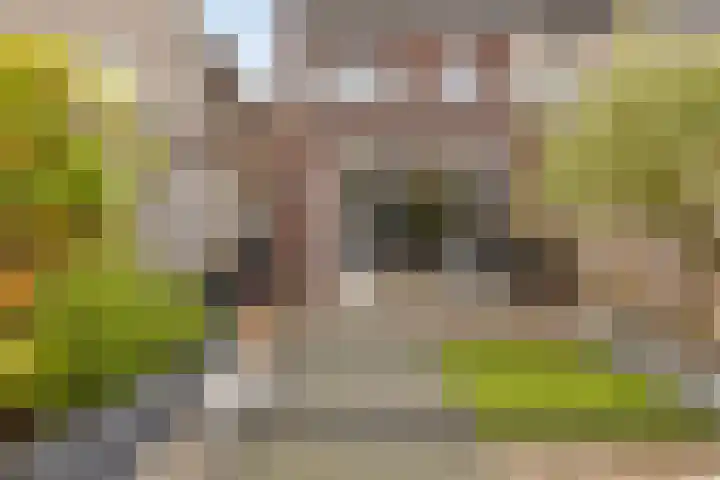 Havenkade 25 Middelharnis thumbnail 5