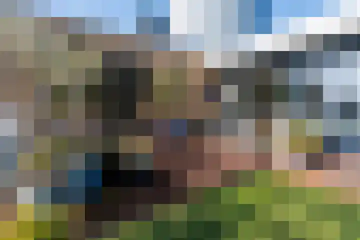 Havenkade 29 Almelo thumbnail 22