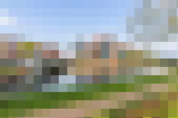 Havenpark 49 Apeldoorn thumbnail 35