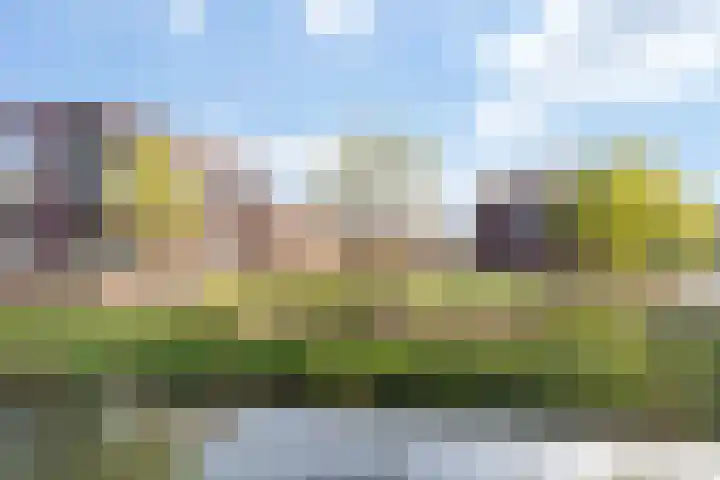 Havenpark 49 Apeldoorn thumbnail 36