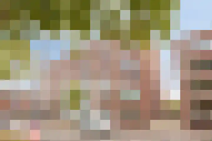 Havensingel 114 Eindhoven thumbnail 27