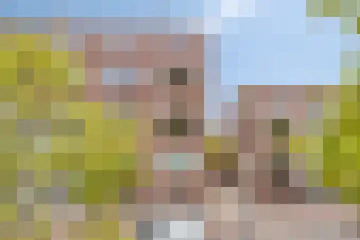 Havensingel 114 Eindhoven thumbnail 29