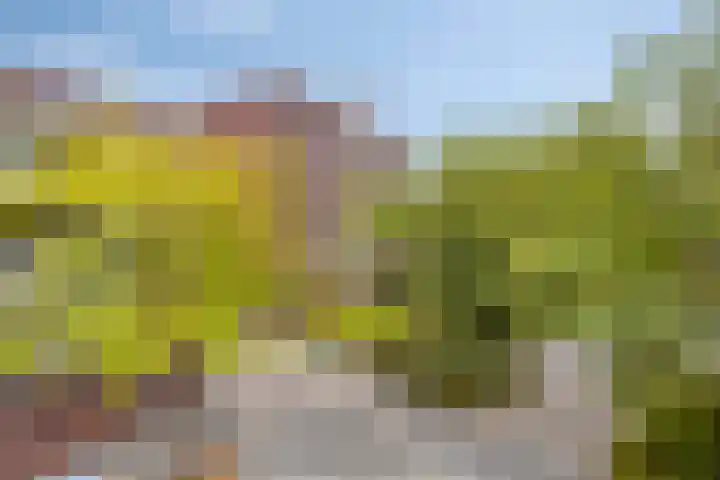 Havensingel 114 Eindhoven thumbnail 32