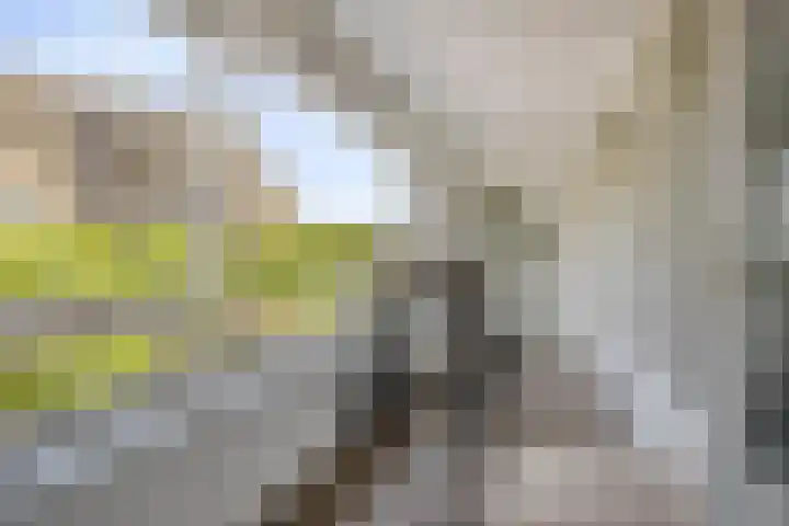 Havensingel 224 Eindhoven thumbnail 32