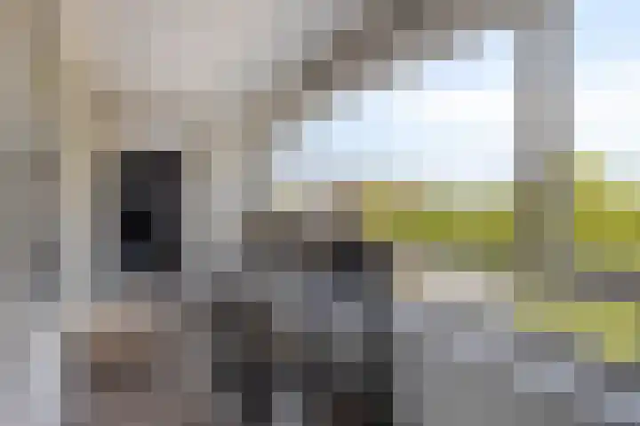 Havensingel 224 Eindhoven thumbnail 33