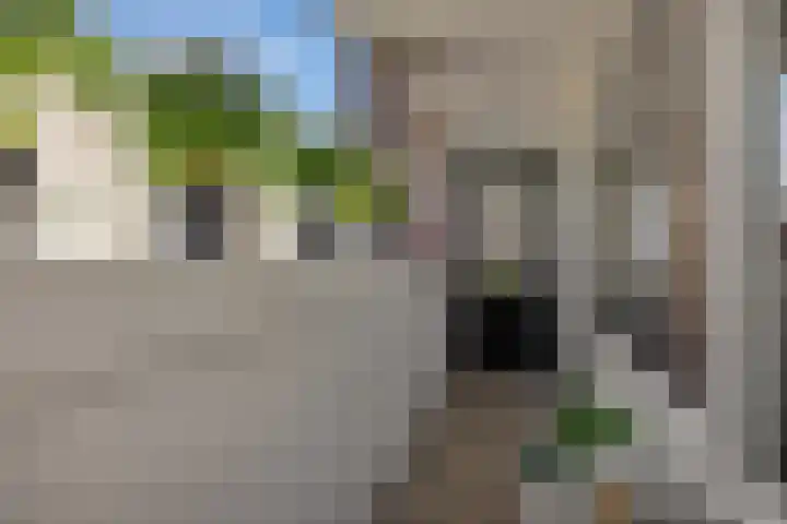 Havensingel 34 's-Hertogenbosch thumbnail 25