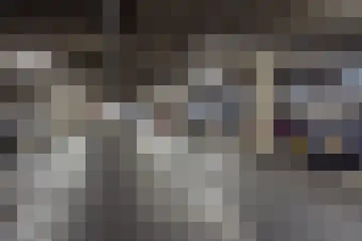 Havensingel 34 's-Hertogenbosch thumbnail 29