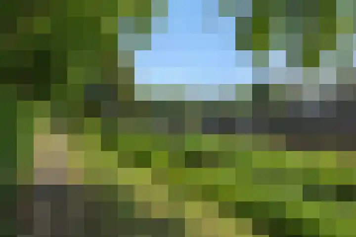 Havensingel 34 's-Hertogenbosch thumbnail 30