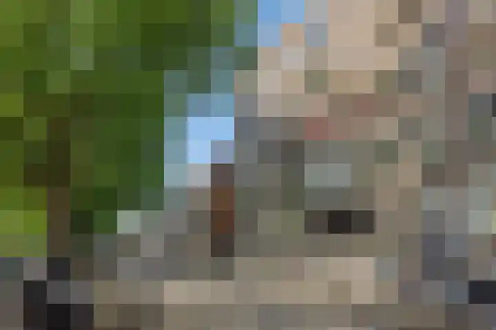 Havensingel 34 's-Hertogenbosch thumbnail 32