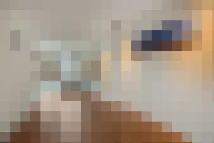 Havensingel 34 's-Hertogenbosch thumbnail 5