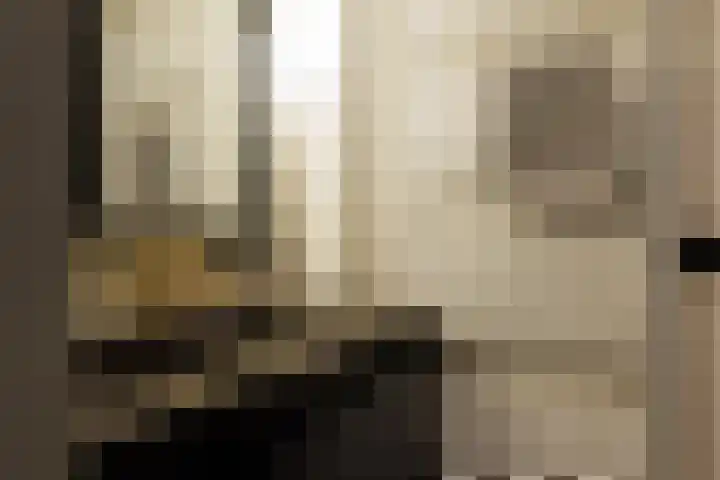 Havensingel 73 's-Hertogenbosch thumbnail 23