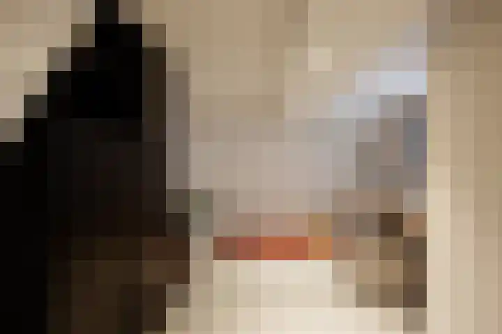 Havensingel 73 's-Hertogenbosch thumbnail 32