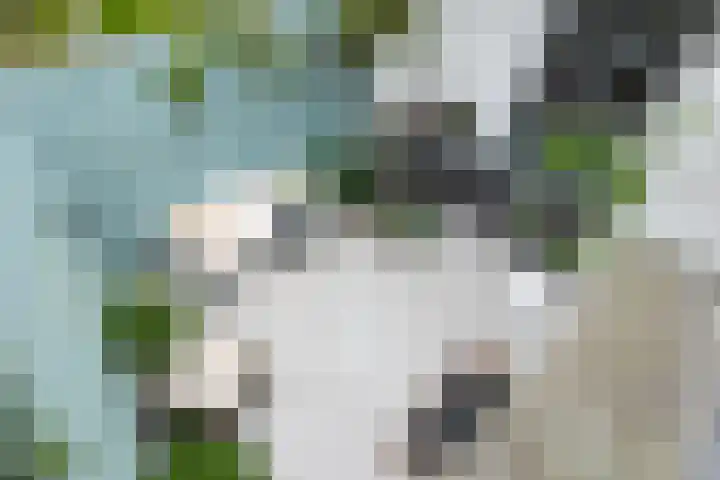 Havensingel 73 's-Hertogenbosch thumbnail 39