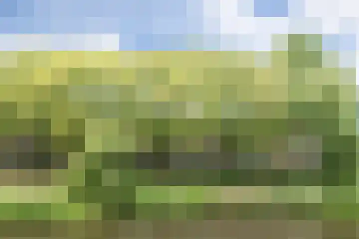 Havensingel 73 's-Hertogenbosch thumbnail 47