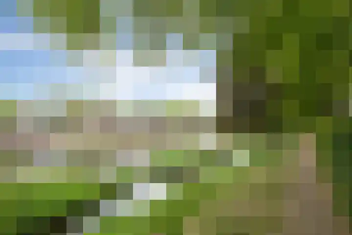 Havensingel 73 's-Hertogenbosch thumbnail 49