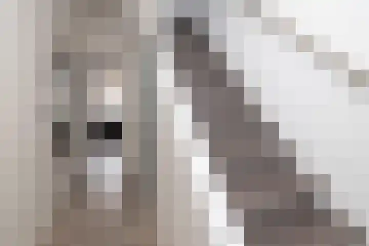 Havenstraat 10 A Onstwedde