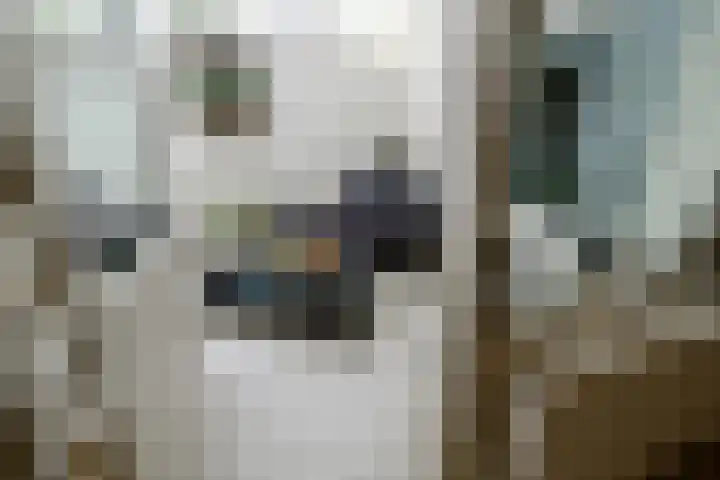 Havenstraat 10 Naaldwijk thumbnail 13