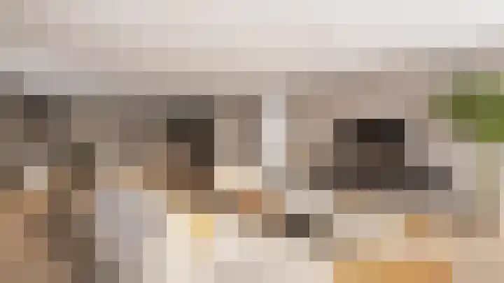 Havenstraat 11 en Tuil