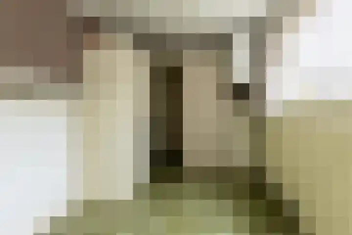 Havenstraat 13 Schoonhoven thumbnail 19