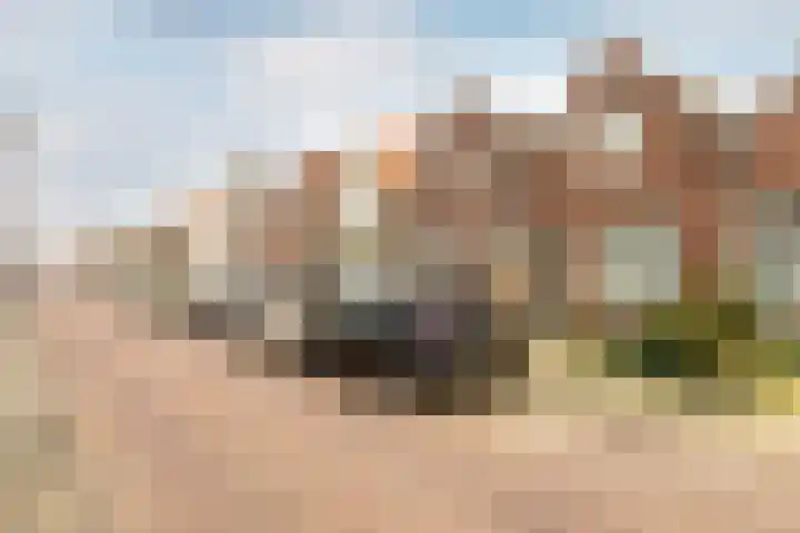 Havenstraat 13 Schoonhoven thumbnail 51