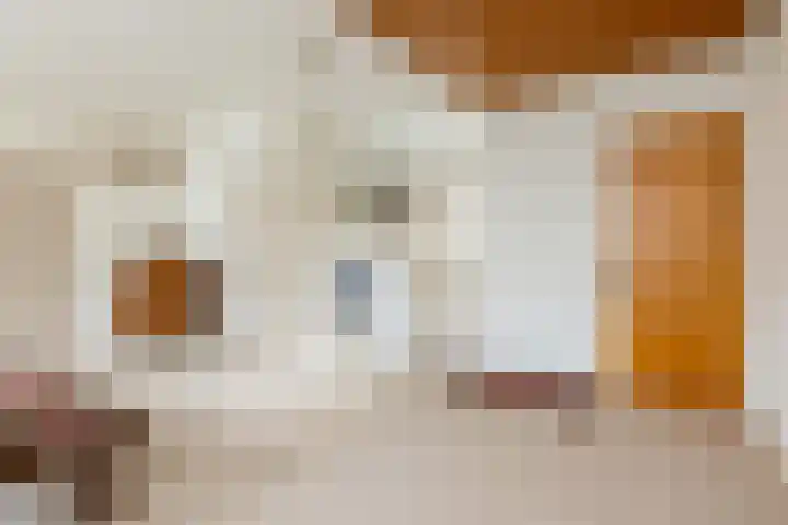 Havenstraat 13 Schoonhoven thumbnail 8