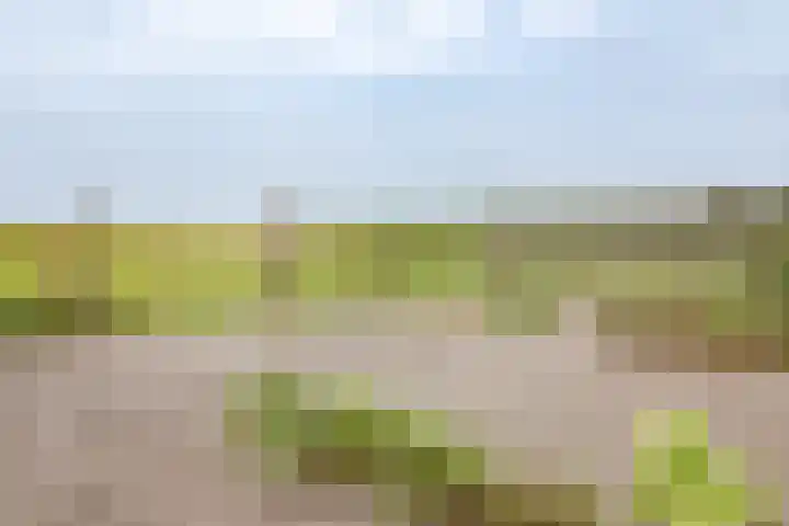 Havenstraat 131 Zijdewind thumbnail 19