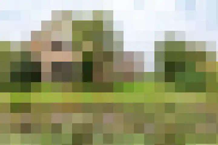 Havenstraat 131 Zijdewind thumbnail 21