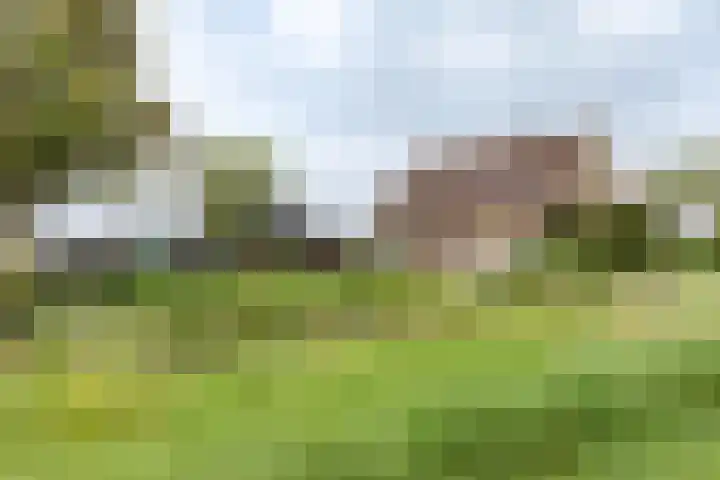 Havenstraat 131 Zijdewind thumbnail 22