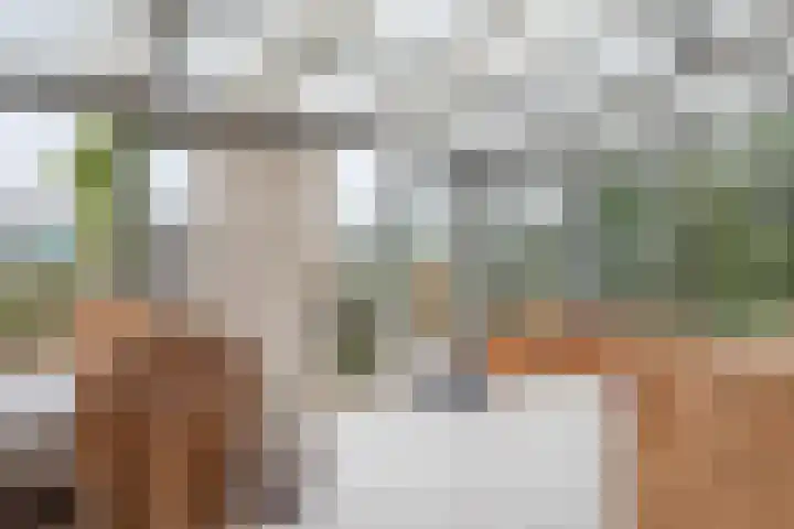 Havenstraat 131 Zijdewind thumbnail 9