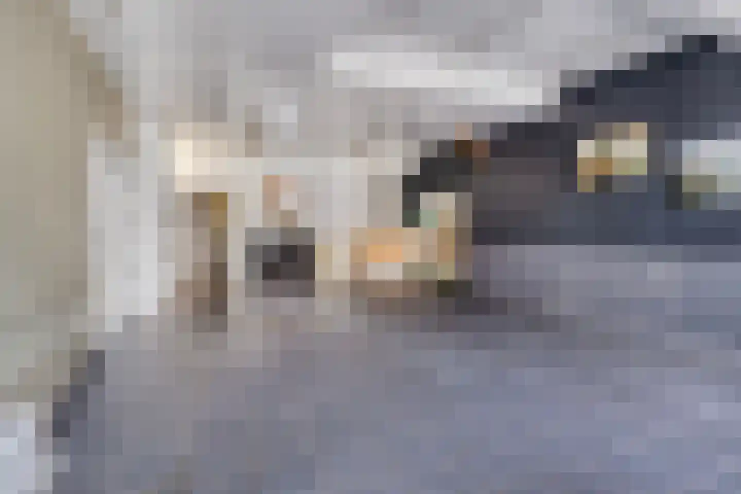 Havenstraat 3 Oudewater thumbnail 28