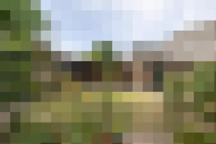 Havenstraat 31 Huizen thumbnail 30