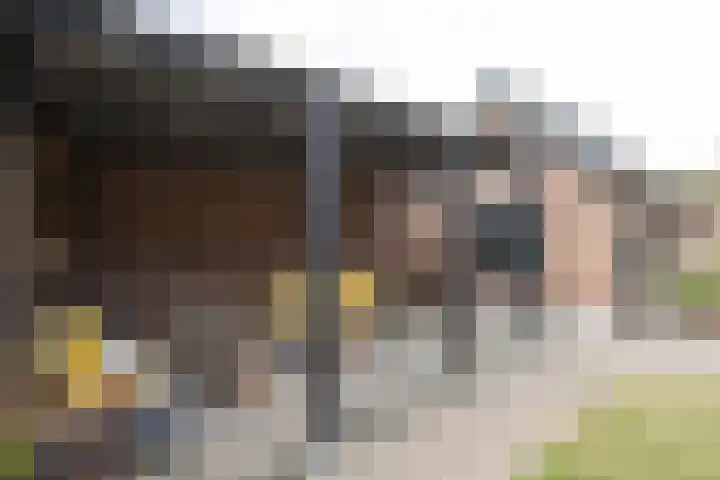 Havenstraat 31 Huizen thumbnail 36