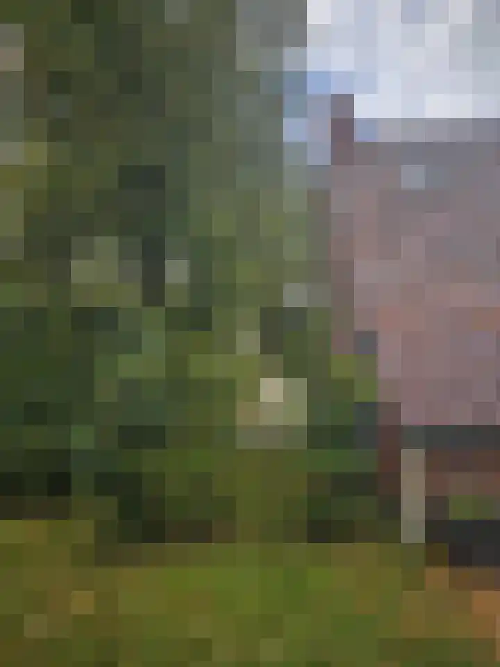 Havenstraat 33 Niekerk thumbnail 11