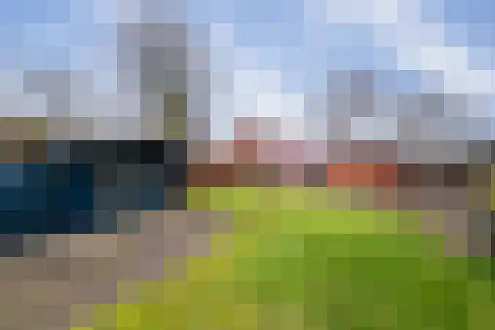 Havenstraat 33 Niekerk thumbnail 46