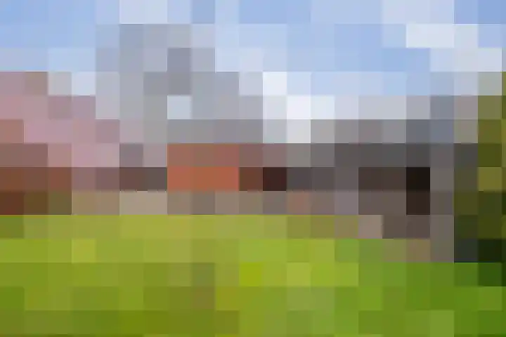 Havenstraat 33 Niekerk thumbnail 48