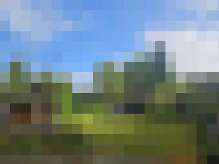 Havenstraat 33 Niekerk thumbnail 54